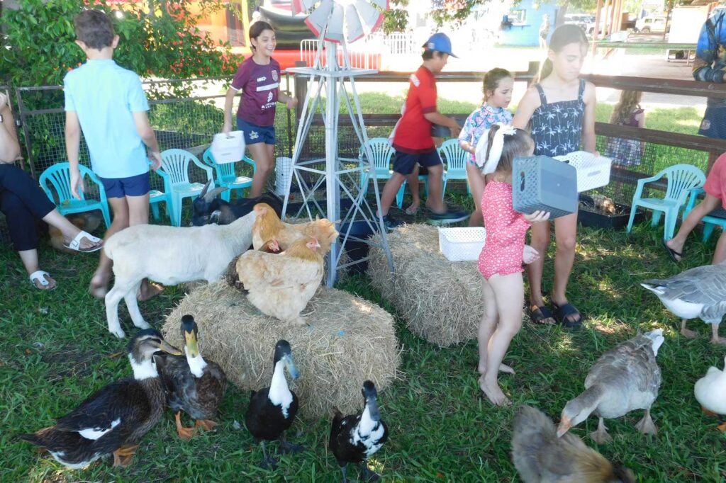 Animal Petting Farm